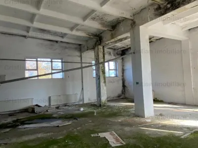 Vanzare sau inchiriere Cladire cadre beton  743 mp Movila Miresii teren 7354 mp Posibilitate rate!! - foto 3