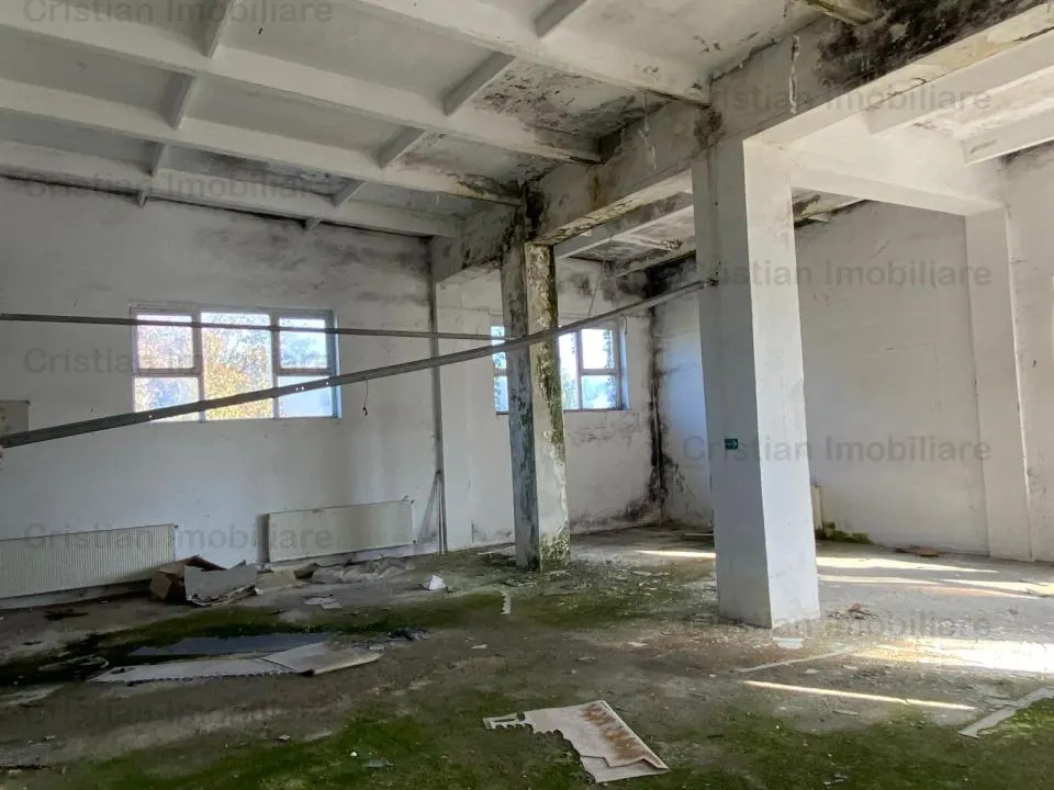 Vanzare sau inchiriere Cladire cadre beton  743 mp Movila Miresii teren 7354 mp Posibilitate rate!! - foto 3