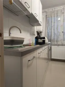 2 camere etaj 3, confort 1, Renovat, Dorobanti - Plantelor - foto 6