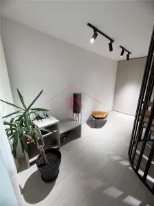 De vanzare apartament tip penthouse,   premium, 2 nivele . Strada Somesului din Floresti - foto 10
