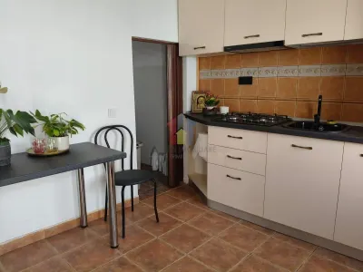 zona Gradinii Publice Casa pretabila pentru 2 familii 150mp utili cu 300mp teren - foto 14