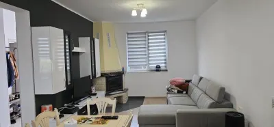 De Vanzare Vila Barajul Lacul Surduc - foto 12