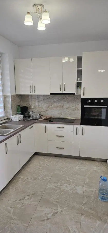 De Vanzare Vila Barajul Lacul Surduc - foto 16