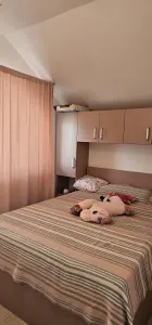 De Vanzare Vila Barajul Lacul Surduc - foto 24