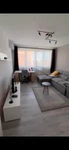 Apartament 2 camere de inchiriat Zona Medicina - foto 16