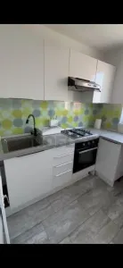 Apartament 2 camere de inchiriat Zona Medicina - foto 6