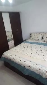 Apartament 3 camere zona Judetean ,parter,mobilat,renovat,150000 Euro - foto 8