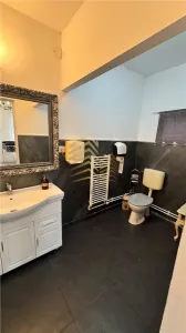 CASA DE VANZARE | 100 | LECHINTA - foto 5