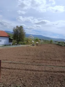 Teren intravilan Jelna - Jelna