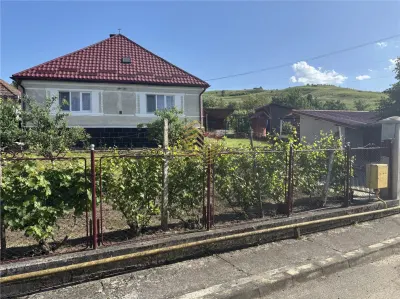 Spre vanzare casa in Lechinta - foto 13
