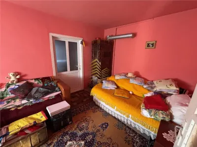 Spre vanzare casa in Lechinta - foto 23