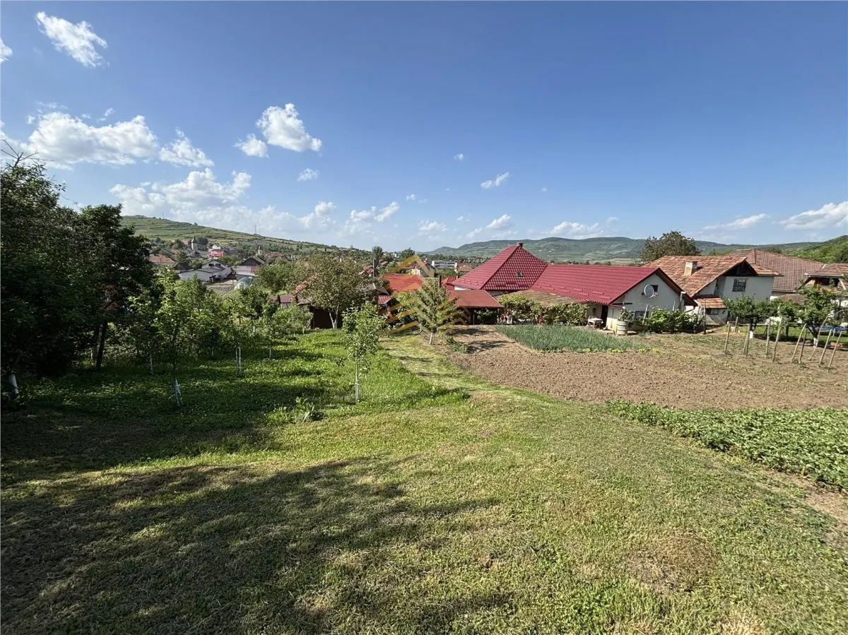 Spre vanzare casa in Lechinta - foto 5