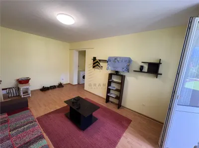 APARTAMENT 2 CAMERE | B-DUL DECEBAL - foto 9