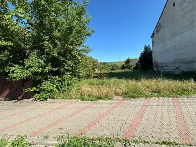 TEREN INTRAVILAN | LECHINTA - foto 3
