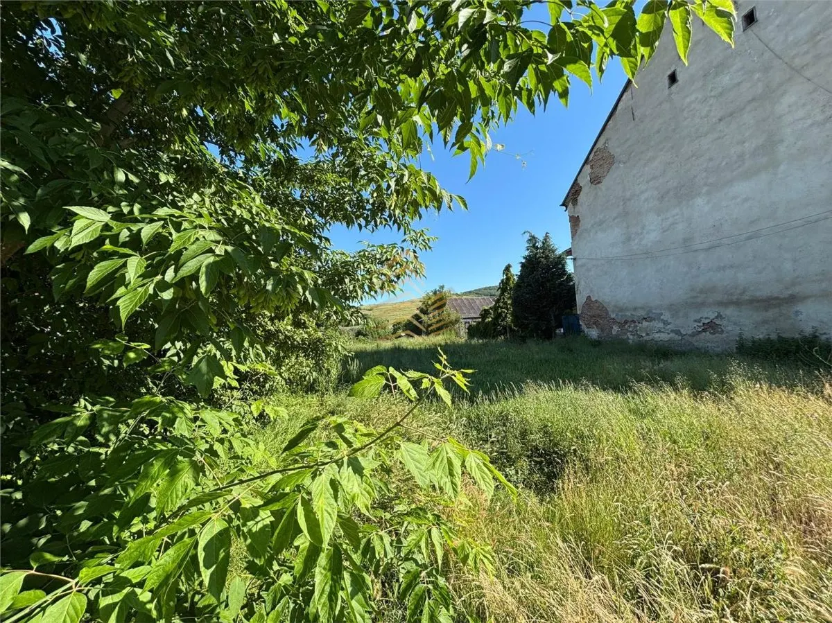 TEREN INTRAVILAN | LECHINTA - foto 4