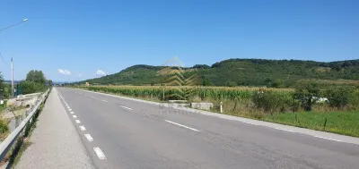 TEREN DE VANZARE PODIREI | 10 ARII INTRAVILAN | 48 ARII EXTRAVILAN - foto 2