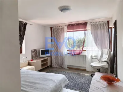 Apartament 2 camere de inchiriat, loc parcare, curte, Valea Lupului - foto 6