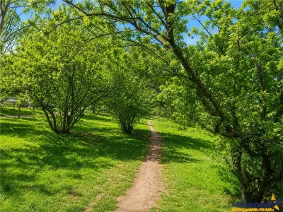 Locul unde fiecare zi se simte ca acasa: Un colt de liniste in Cartierul Florilor cu Promenada verde pe Aleea Salcamilor - foto 18