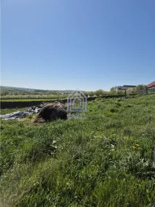 Teren intravilan Moara Nica - 1950 mp - foto 5