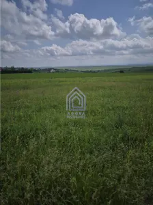 Teren Moara Nica 800 mp - foto 2