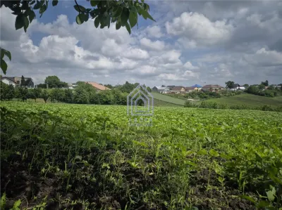 Teren intravilan Moara Nica - zona Scolii - foto 8