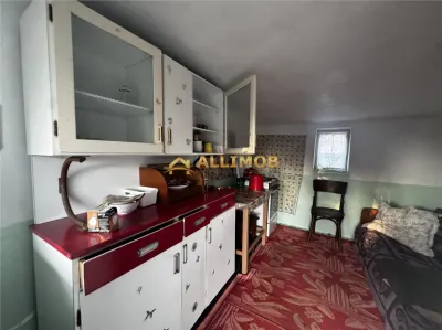 Casa batraneasca si teren 758 mp in Negoiesti. - foto 6