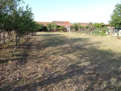 Berliste, Casa 6 Incaperi, 1129mp Teren, Pret Negociabil - foto 8