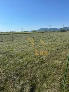 Teren extravilan de vanzare, Baia Mare - foto 5