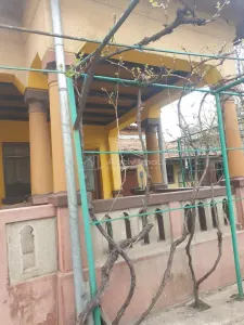 Casa pe sol, teren 330 mp, pretabila : cabinet, locuinta- zona Puskin - Craiova