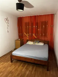 Apartament de vanzare, George Enescu - foto 8