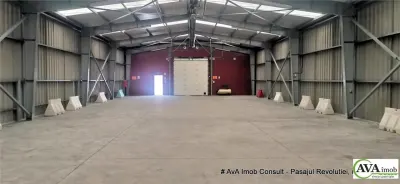 Zona Izvoare, spatii industriale (Hale ) - Bacau