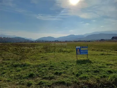 Teren de vanzare pentru constructii case 1 hectar - foto 5