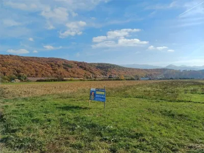 Teren de vanzare pentru constructii case 1 hectar - foto 6