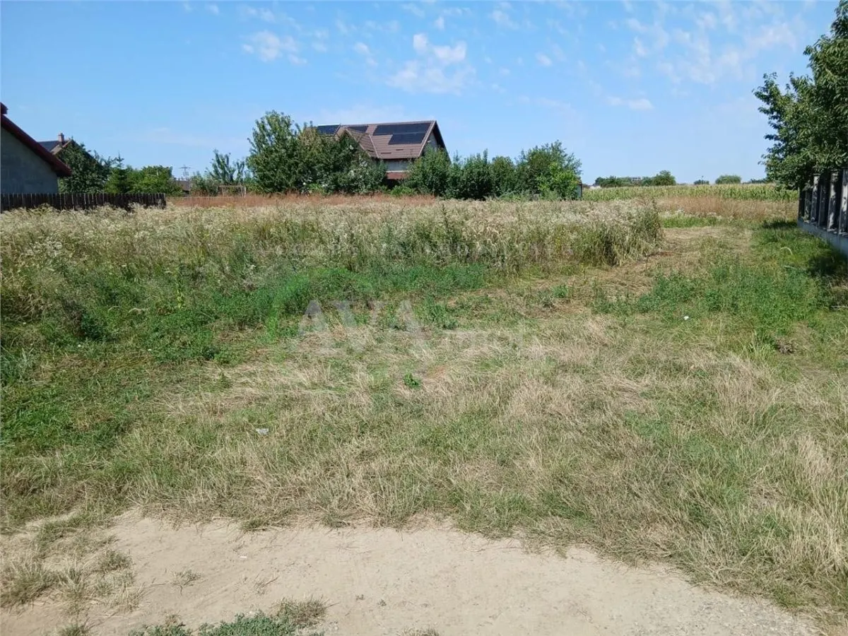 Teren intravilan 700 mp, deschidere 28 ml, zona Bogdan Voda - foto 6