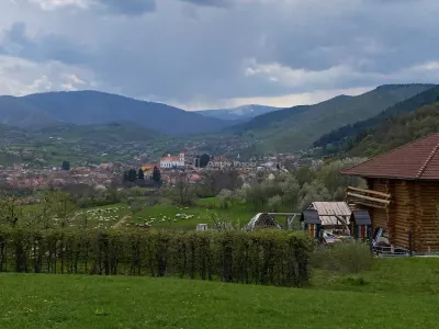 Teren de vanzare in Rasinari - foto 2