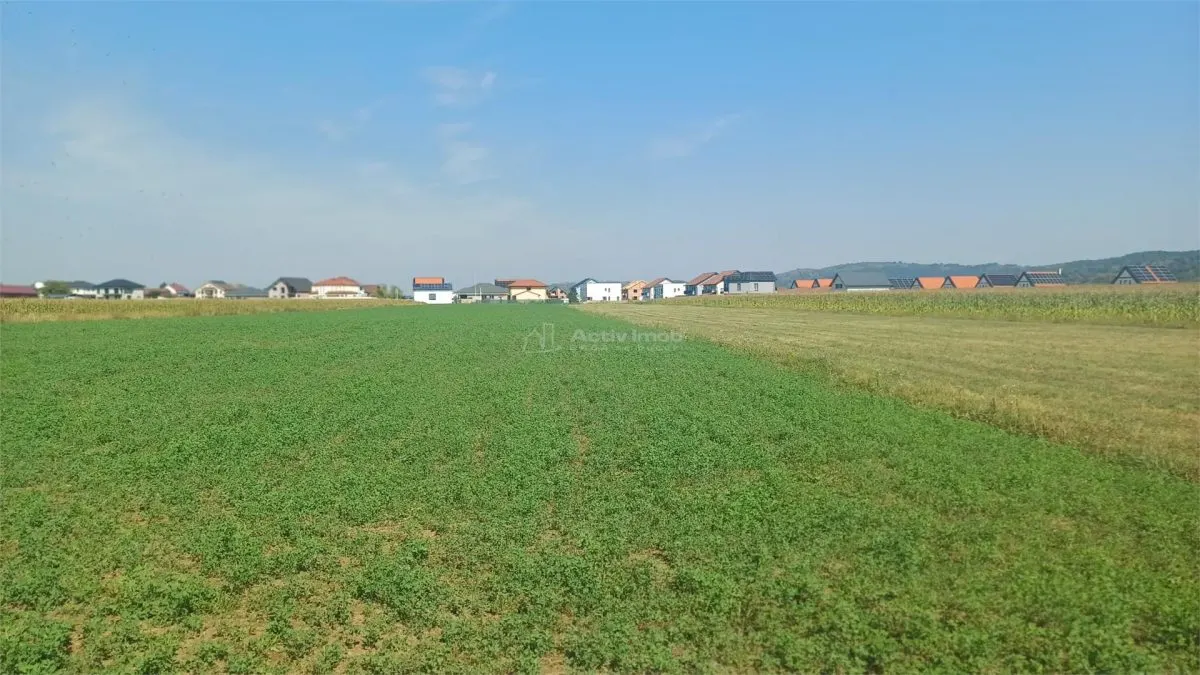 Teren intravilan 2500 mp  de vanzare - foto 1