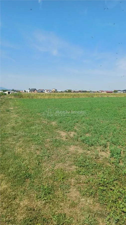 Teren intravilan 2500 mp  de vanzare - foto 2