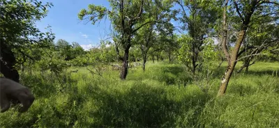 Teren 3000 mp intravilan Razvad Redeventei - foto 2