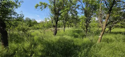 Teren 3000 mp intravilan Razvad Redeventei - foto 3
