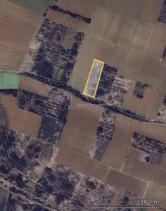 Teren extravilan de vanzare – Dealul Viilor, Biharia | 3000 mp - foto 2