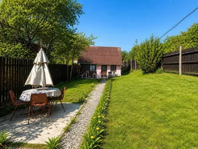 Cabana de vanzare in Saliste - foto 2