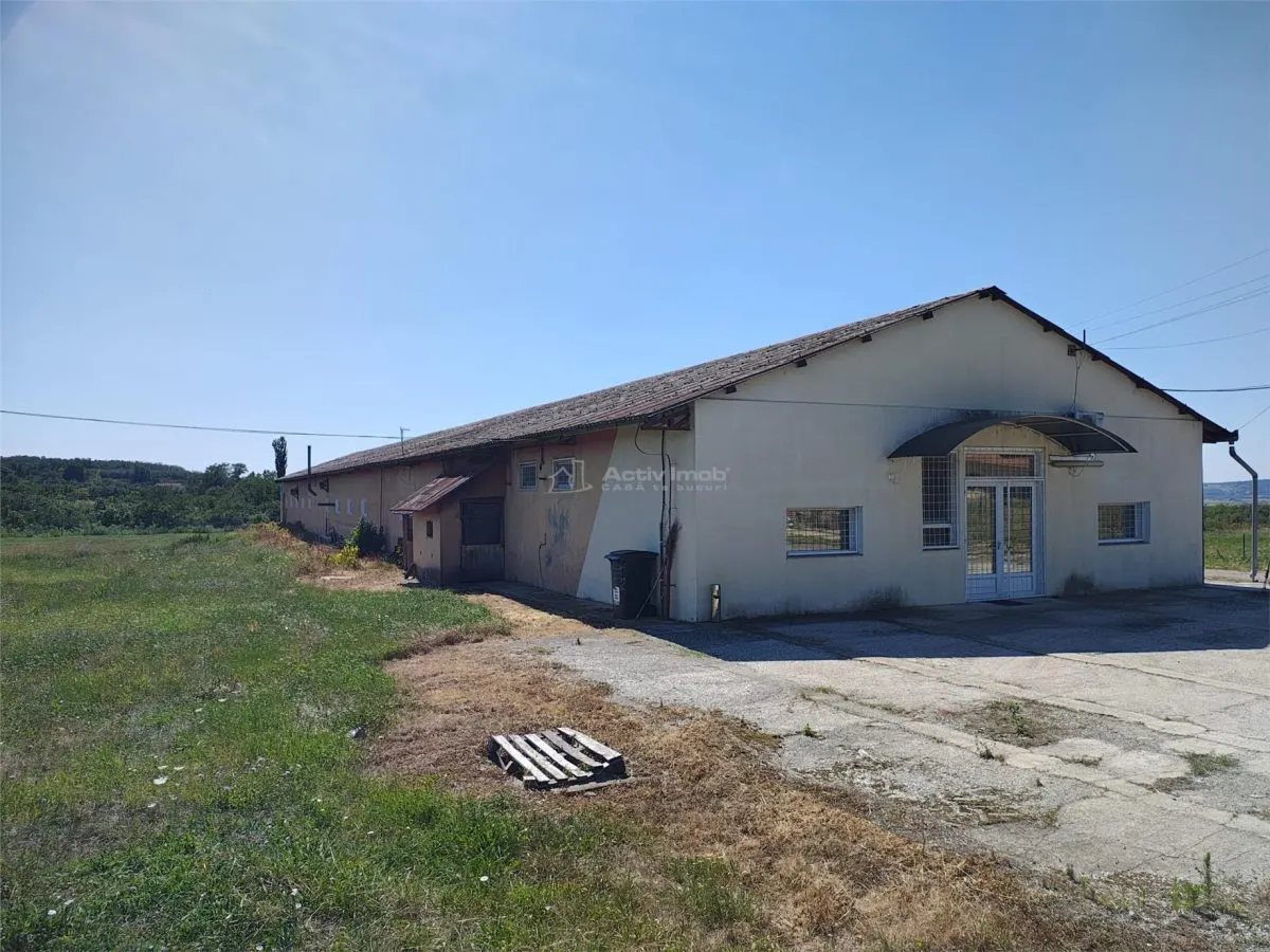 Hala industriala de vanzare sau inchiriere– Misca - judetul Bihor - 972 mp construiti  -Teren 12538 mp - Utilitati complete - foto 2