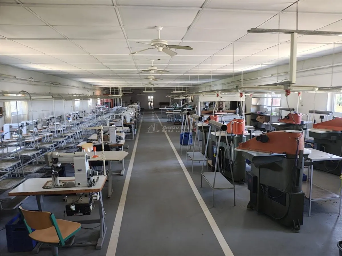 Hala industriala de vanzare sau inchiriere– Misca - judetul Bihor - 972 mp construiti  -Teren 12538 mp - Utilitati complete - foto 14