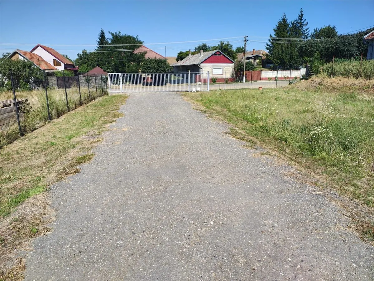 Hala industriala de vanzare sau inchiriere– Misca - judetul Bihor - 972 mp construiti  -Teren 12538 mp - Utilitati complete - foto 5