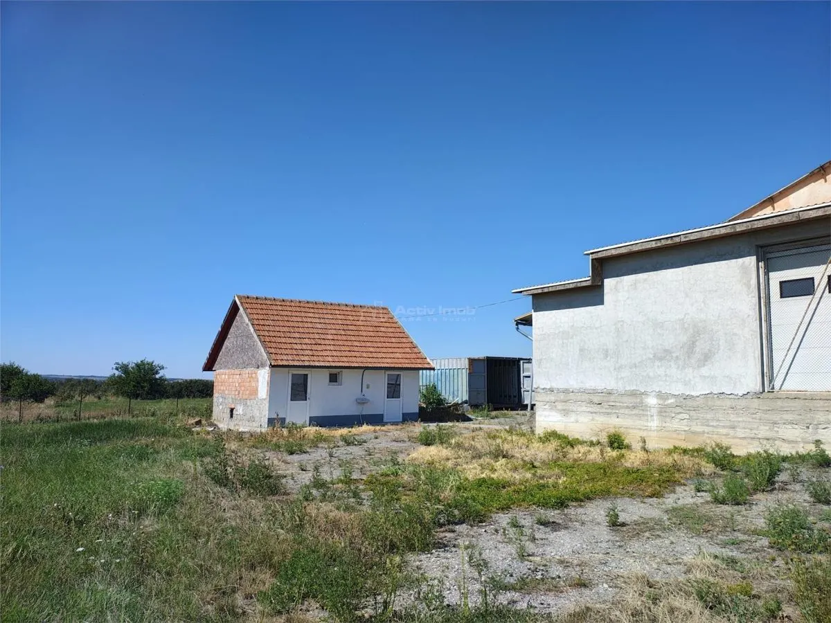 Hala industriala de vanzare sau inchiriere– Misca - judetul Bihor - 972 mp construiti  -Teren 12538 mp - Utilitati complete - foto 6