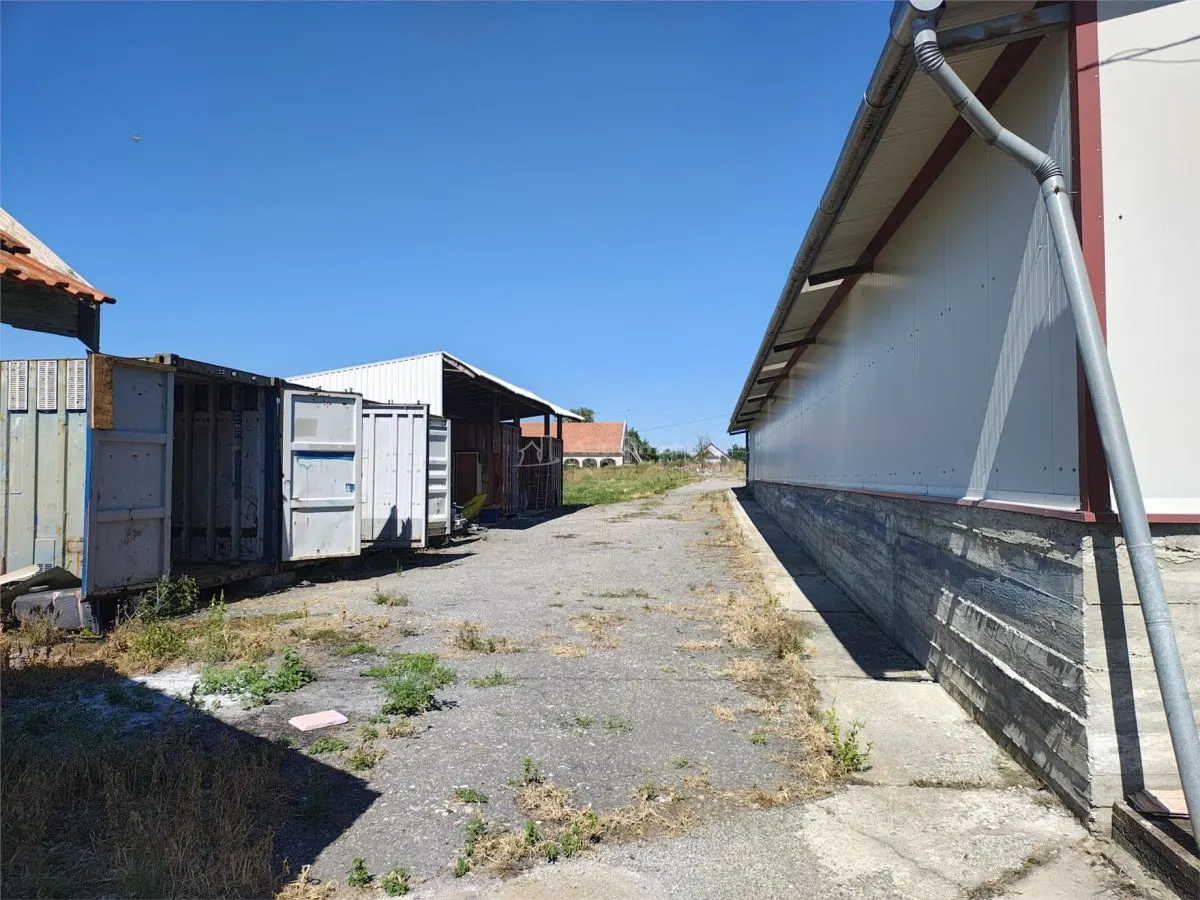 Hala industriala de vanzare sau inchiriere– Misca - judetul Bihor - 972 mp construiti  -Teren 12538 mp - Utilitati complete - foto 9