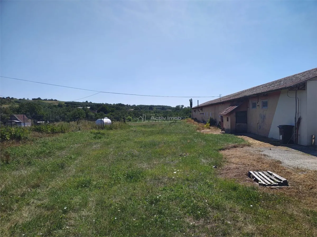 Hala industriala de vanzare sau inchiriere– Misca - judetul Bihor - 972 mp construiti  -Teren 12538 mp - Utilitati complete - foto 10