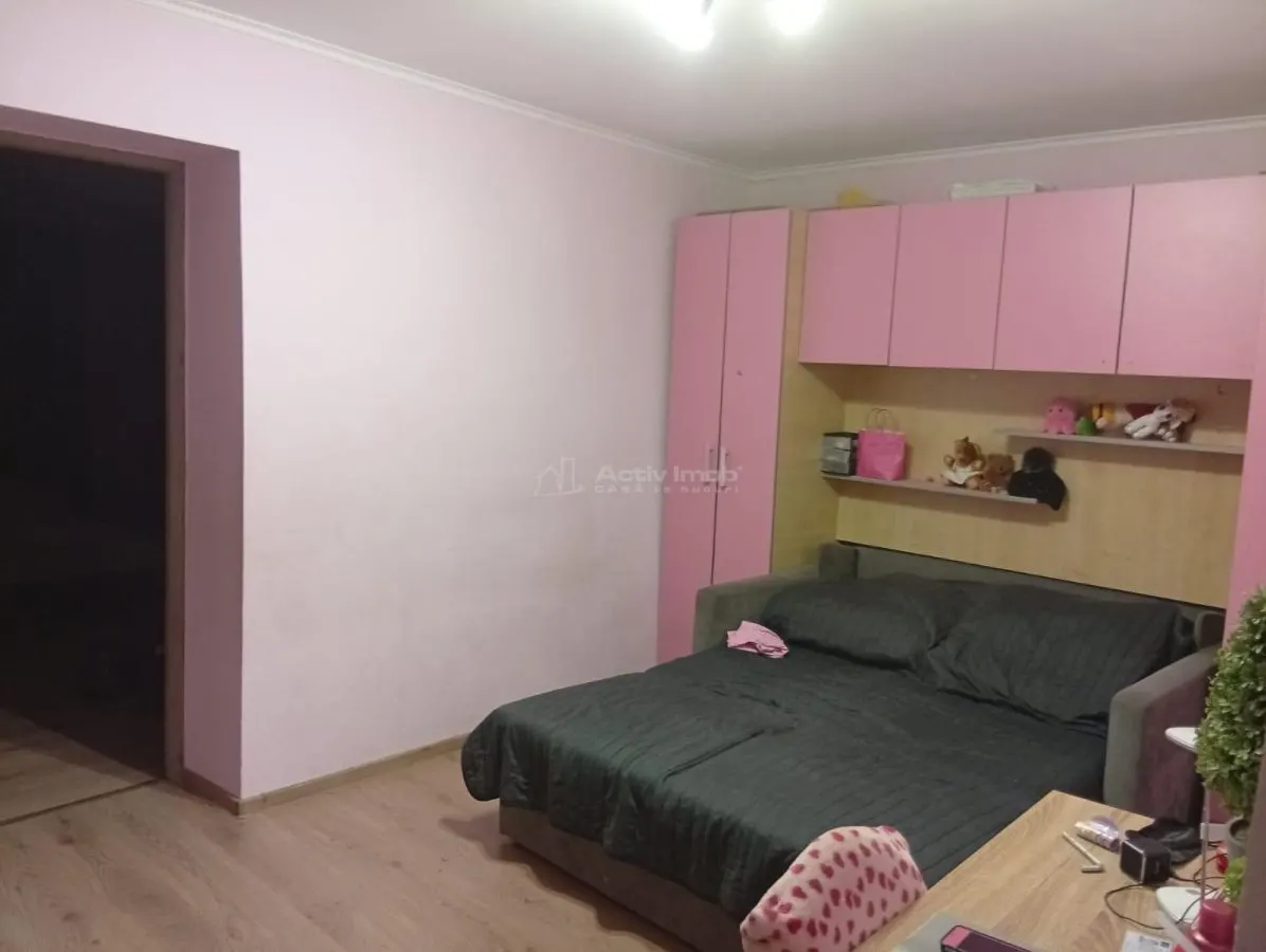3 cam - zona Aradul-Nou - foto 5