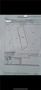 Teren Padurea Baneasa-ocazie - Bucuresti