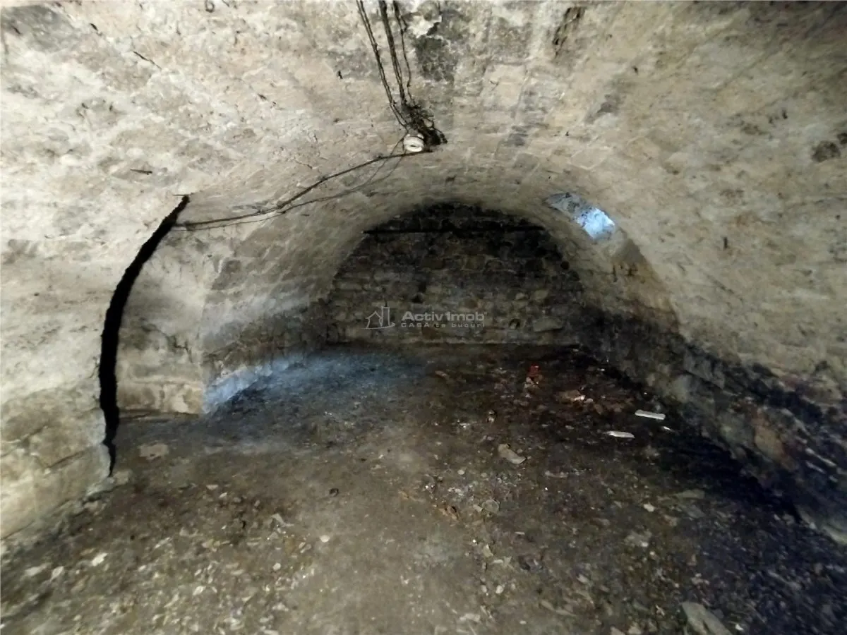 Oravita, Casa cu Spatiu Comercial, 784mp, ZERO COMISION - foto 17
